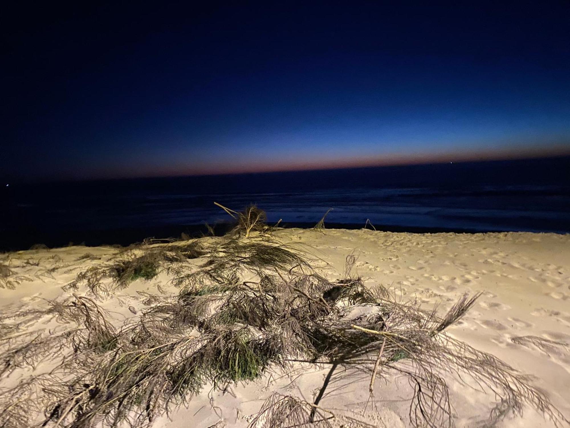 La Cabane De Biscarrosse Cameră foto